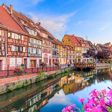 Appartement Avec Terrasse Entre Vignes, Balades, Alsace Ґебвіллер Екстер'єр фото