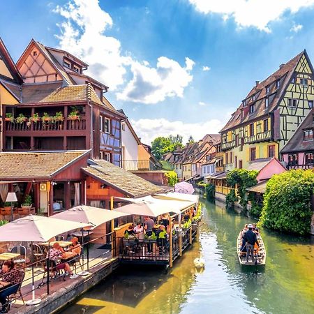 Appartement Avec Terrasse Entre Vignes, Balades, Alsace Ґебвіллер Екстер'єр фото