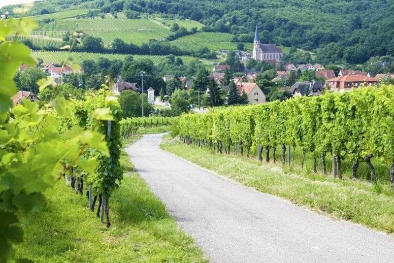 Appartement Avec Terrasse Entre Vignes, Balades, Alsace Ґебвіллер Екстер'єр фото