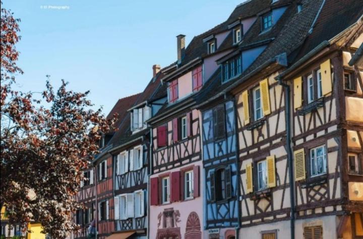 Appartement Avec Terrasse Entre Vignes, Balades, Alsace Ґебвіллер Екстер'єр фото